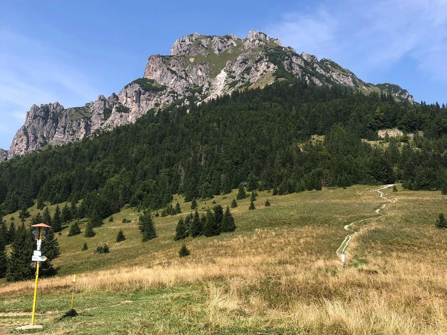 Skalnatý vrchol Veľkého Rozsutca nad horskou lúkou s turistickým chodníkom